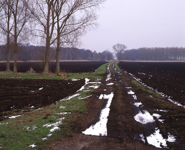 Towards Holme Fen, Cambridgeshire