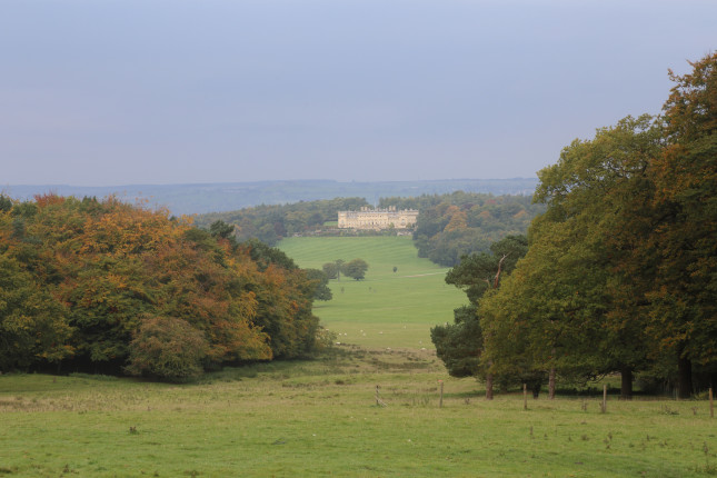 Harewood_12Oct007