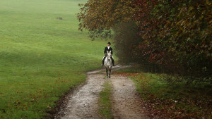 Harewood_South_CarriageDrive_Riding_MVI_9957